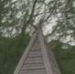 Yovera